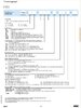 Lincoln Pumpe P203-2XN 12V